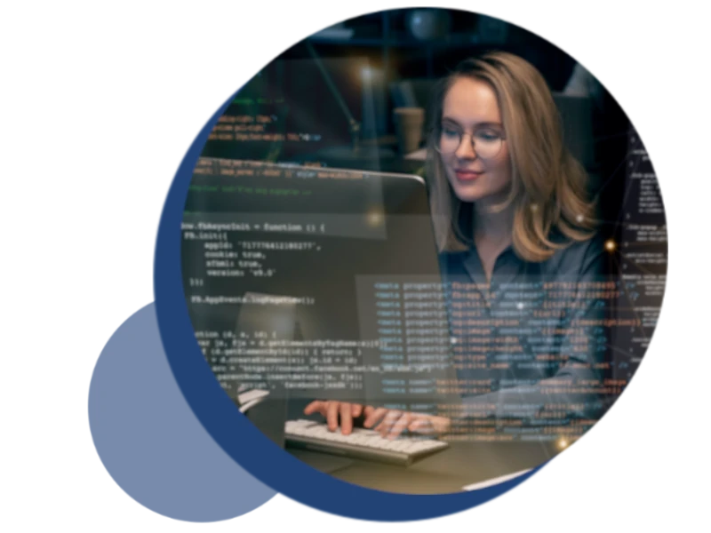 custom software